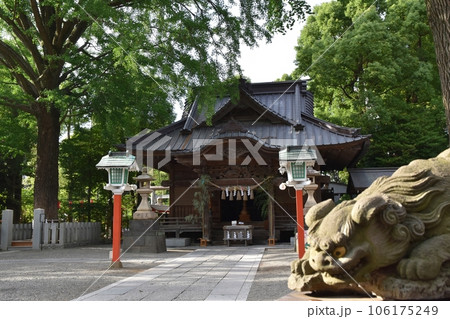 七夕の田無神社　東京 106175249