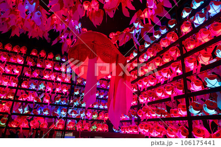 ライトアップされた金魚ちょうちんが並んだ様子 ライトアップされた金魚ちょうちんが並んだ様子 106175441