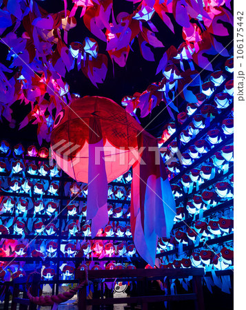 ライトアップされた金魚ちょうちんが並んだ様子 ライトアップされた金魚ちょうちんが並んだ様子 106175442