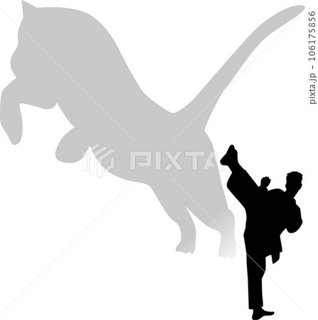 空手 虎の蹴り 空手 虎の蹴り 106175856