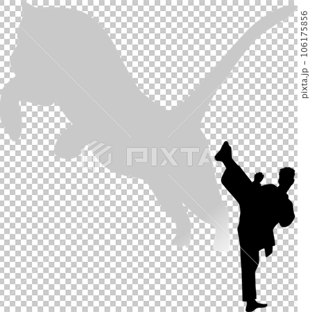 空手 虎の蹴り 空手 虎の蹴り 106175856