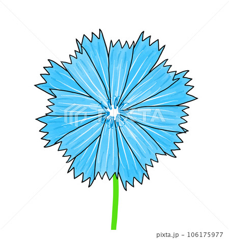 blue cornflower isolated on white background blue cornflower isolated on white background 106175977