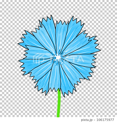 blue cornflower isolated on white background blue cornflower isolated on white background 106175977