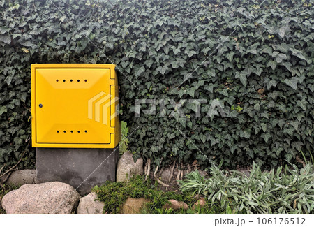 Yellow gas cabinet in the flower bed Yellow gas cabinet in the flower bed 106176512