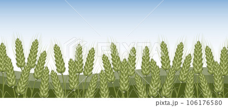 Spikelets of rye, rye, wheat field against the sky. Agriculture. Seamless horizontal border. Vector 106176580