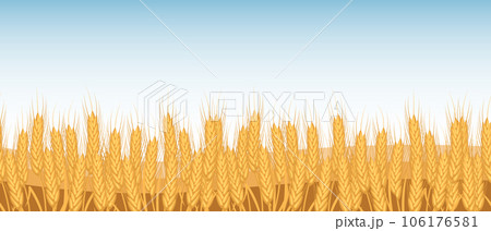Spikelets of wheat, wheat field against the sky. Agriculture. Seamless horizontal border. Vector 106176581