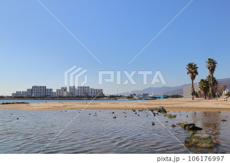香櫨園浜 106176997