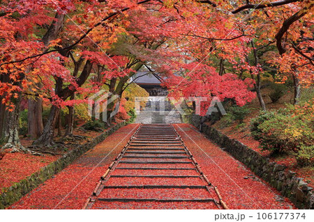 毘沙門堂 毘沙門堂 106177374