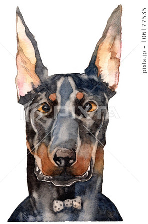 原画 犬 ドーベルマン 墨絵 #132 7761fb08a15ce19d253772f6963419