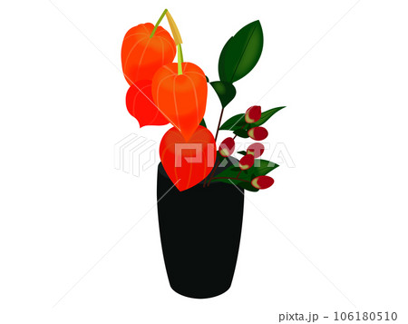 鉢に植えられたほおずき（主線なし） 106180510