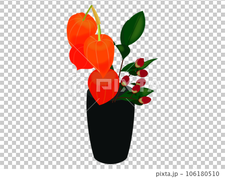 鉢に植えられたほおずき（主線なし） 106180510