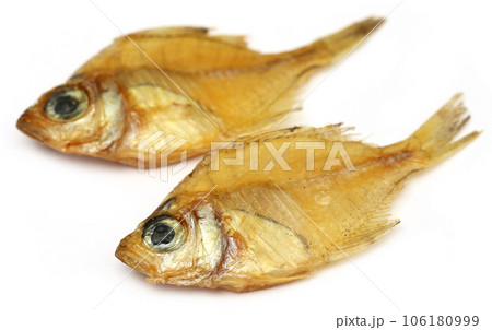 Dried Elongate glassy perchlet 106180999