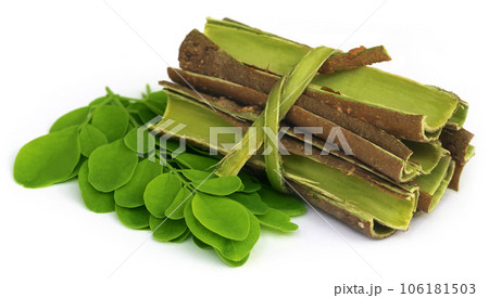 Moringa leaves and bark 106181503