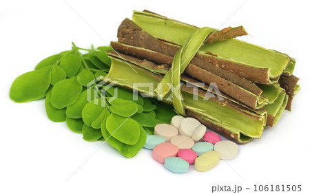 Moringa leaves and bark with pills Moringa leaves and bark with pills 106181505