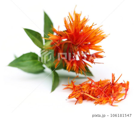 Safflower 106181547