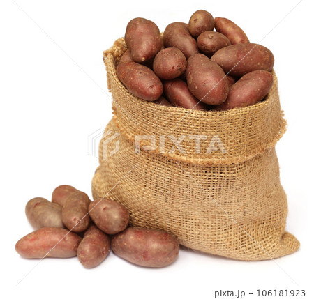 Potatoes in a sack bag over white background 106181923