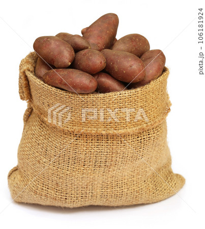 Potatoes in a sack bag over white background 106181924