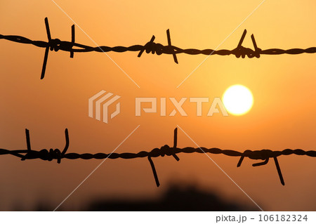 Setting sun behind barbed wire Setting sun behind barbed wire 106182324