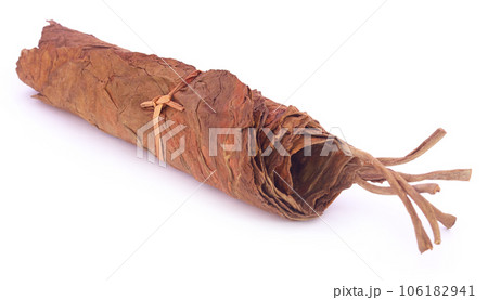 Dry tobacco leaves 106182941