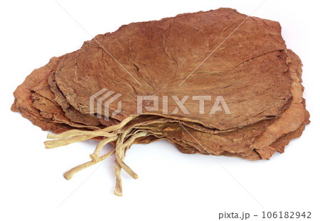 Dry tobacco leaves Dry tobacco leaves 106182942