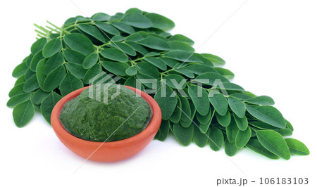 Moringa leaves Moringa leaves 106183103