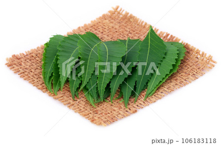 Medicinal neem leaves on a sack Medicinal neem leaves on a sack 106183118