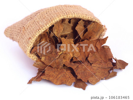 Dried tobacco leaves 106183465