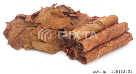 Dry tobacco leaves 106183505