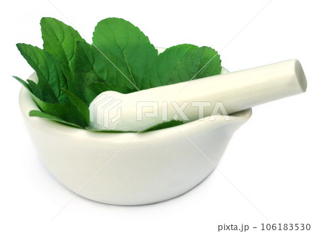 Medicinal tulsi with mortar and pestle 106183530