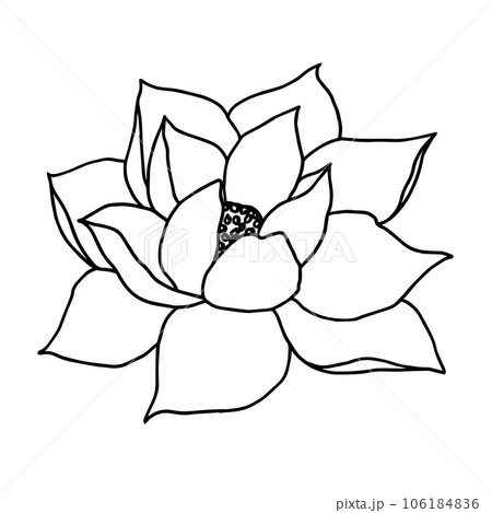 Lotus flower symmetrical drawing by Soppeldunk on DeviantArt-saigonsouth.com.vn