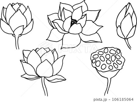 Lotus Flower Sketch Clipart-saigonsouth.com.vn