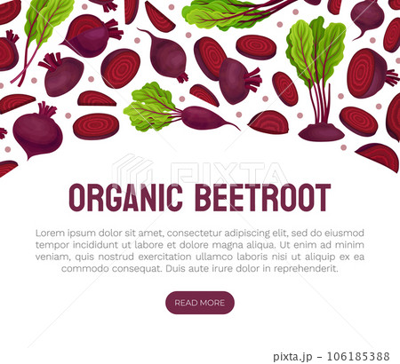 Beetroot Vegetable Crop Banner Design Design Vector Template 106185388