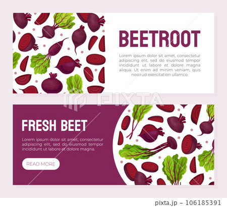 Beetroot Vegetable Crop Banner Design Design Vector Template Beetroot Vegetable Crop Banner Design Design Vector Template 106185391