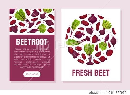 Beetroot Vegetable Crop Banner Design Design Vector Template 106185392