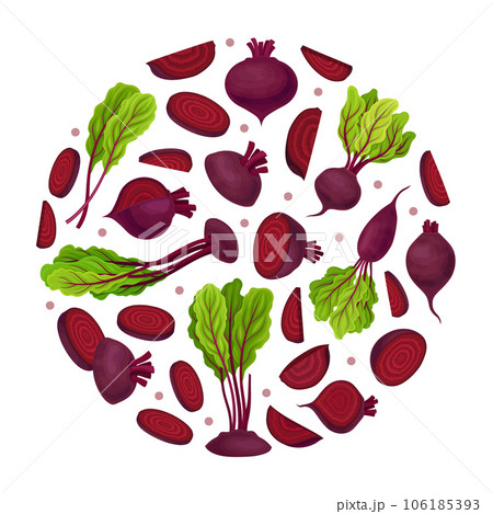 Beetroot Vegetable Crop Round Composition Design Vector Template Beetroot Vegetable Crop Round Composition Design Vector Template 106185393