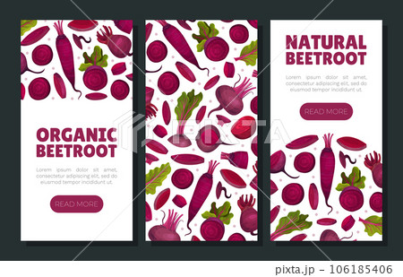 Beetroot Vegetable Crop Banner Design Design Vector Template 106185406