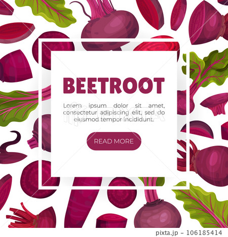 Beetroot Vegetable Crop Banner Design Design Vector Template Beetroot Vegetable Crop Banner Design Design Vector Template 106185414