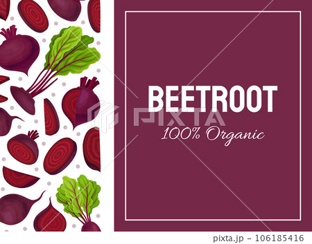 Beetroot Vegetable Crop Banner Design Design Vector Template Beetroot Vegetable Crop Banner Design Design Vector Template 106185416