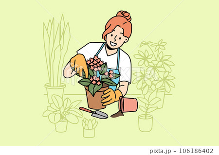 Woman florist takes care of home plants and holds flower pot with blooming violet Woman florist takes care of home plants and holds flower pot with blooming violet 106186402