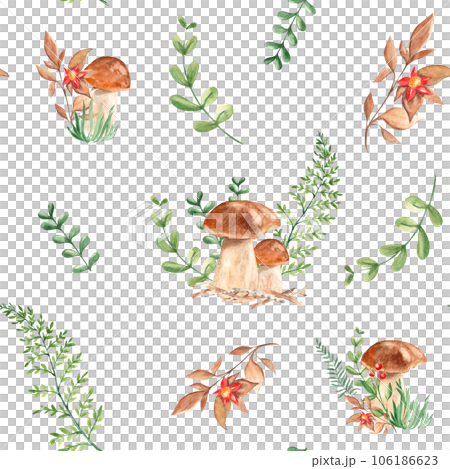 Seamless watercolor pattern with porcini mushrooms, fern, green branches and red flower. Botanical summer hand drawn illustration. Can be used for gift wrapping paper, kitchen textile and fabric 106186623
