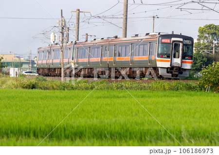 【関西本線】白鳥信号所を通過する快速みえ 106186973