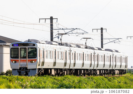 【関西本線】築堤区間を通過する快速列車 106187082