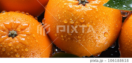 Citrus harvest, mouth-watering orange oranges with water drops. High quality photo Citrus harvest, mouth-watering orange oranges with water drops. High quality photo 106188618