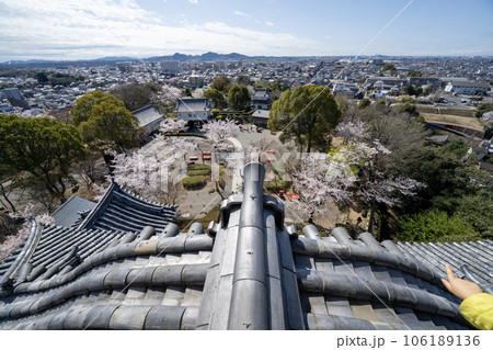 国宝犬山城天守から見た景色 106189136