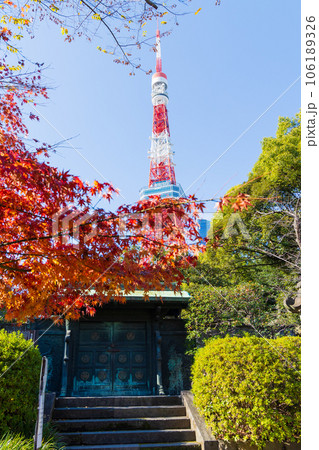 晩秋の東京港区 紅葉の増上寺と東京タワー 晩秋の東京港区 紅葉の増上寺と東京タワー 106189326