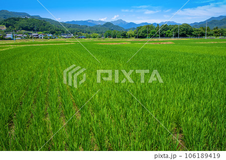 田園風景 谷川連峰 上毛高原駅付近 みなかみ町 田園風景 谷川連峰 上毛高原駅付近 みなかみ町 106189419