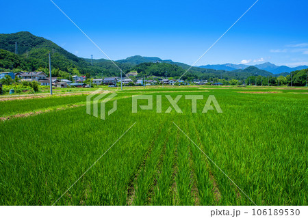 田園風景　谷川連峰　上毛高原駅付近　みなかみ町　　 106189530