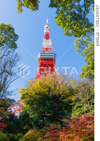 晩秋の東京港区 紅葉の芝公園もみじ谷と東京タワー 晩秋の東京港区 紅葉の芝公園もみじ谷と東京タワー 106189587