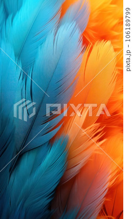 Texture background with feather surface of bright different colors  106189799