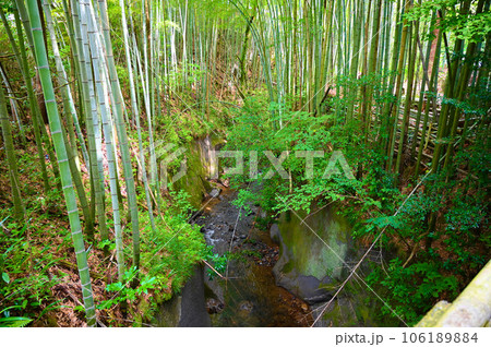 伏見川の急流と大桑層化石産地 金沢市 伏見川の急流と大桑層化石産地 金沢市 106189884